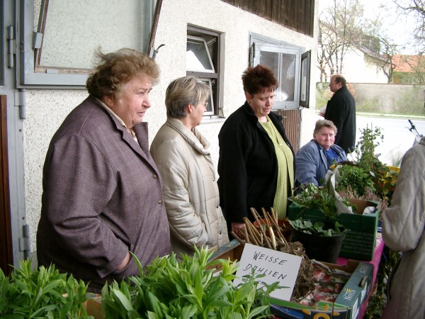 Pflanzentausch