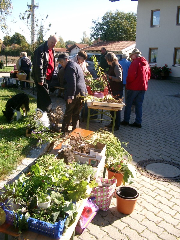 Pflanzentausch