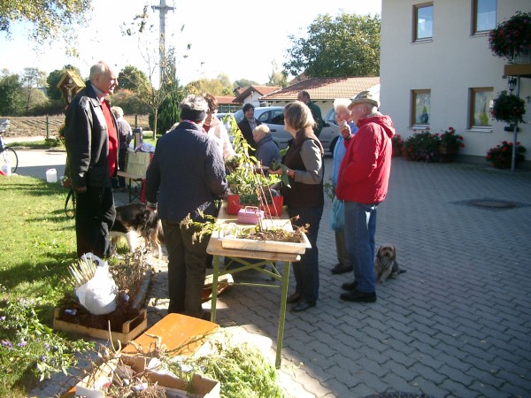 Pflanzentausch